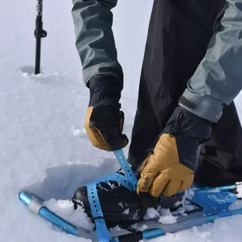 Access Snowshoe