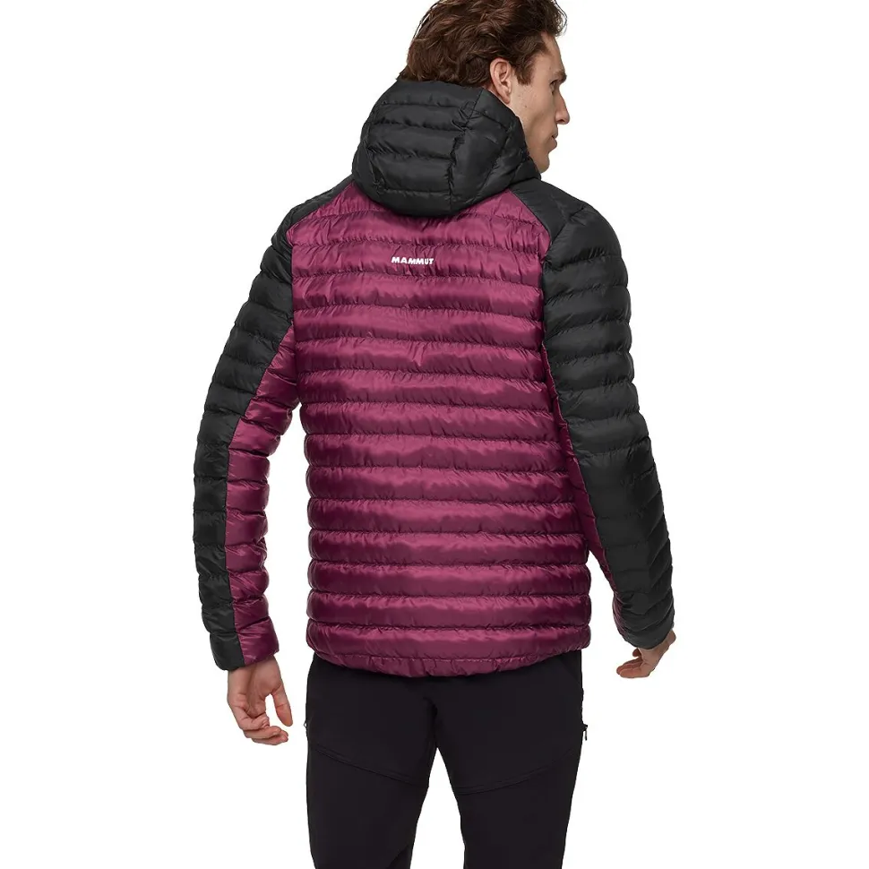 Albula IN Hooded Jacket - Men's