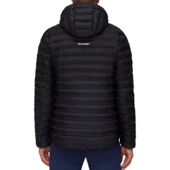 Albula IN Hooded Jacket - Men's