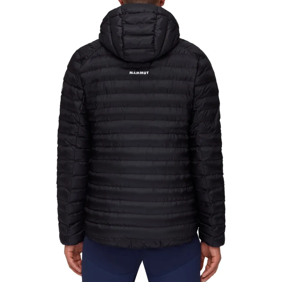 Albula IN Hooded Jacket - Men's