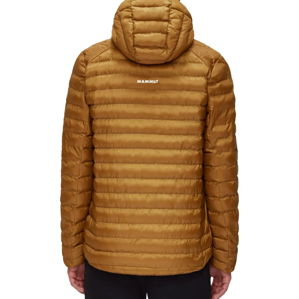 Albula IN Hooded Jacket - Men's