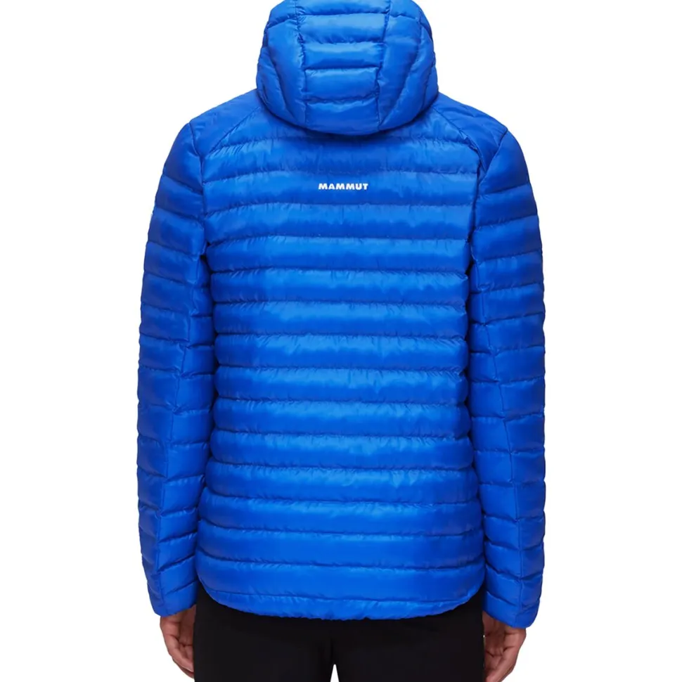 Albula IN Hooded Jacket - Men's