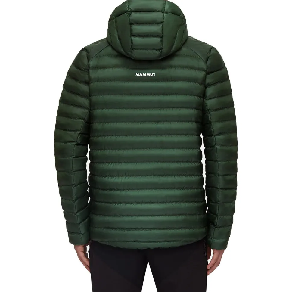 Albula IN Hooded Jacket - Men's