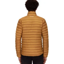 Albula IN Jacket - Men's