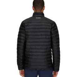 Albula IN Jacket - Men's