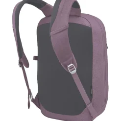 Arcane Large 20L Daypack