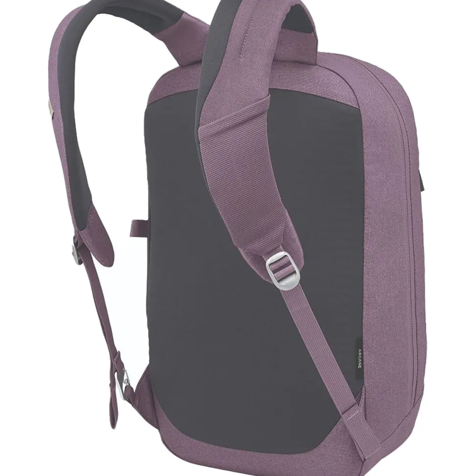 Arcane Large 20L Daypack