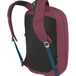 Arcane Large 20L Daypack
