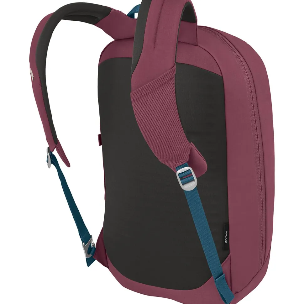 Arcane Large 20L Daypack
