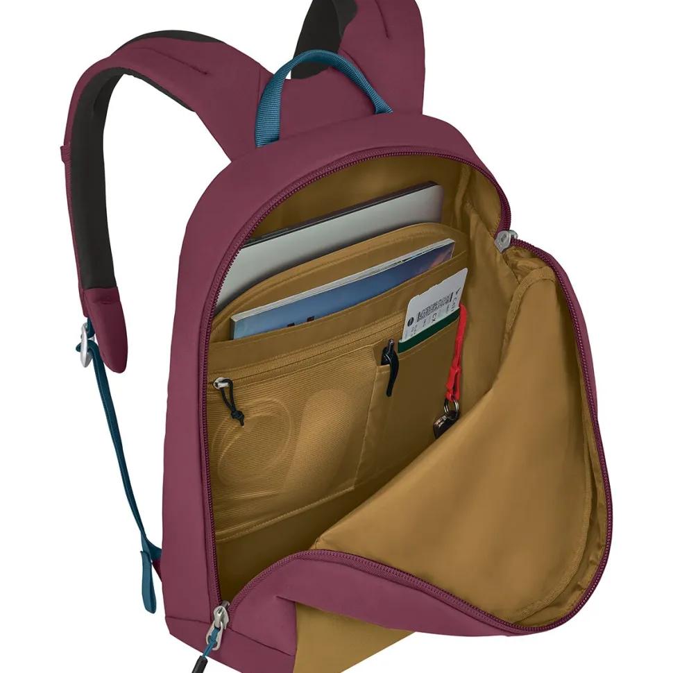 Arcane Large 20L Daypack