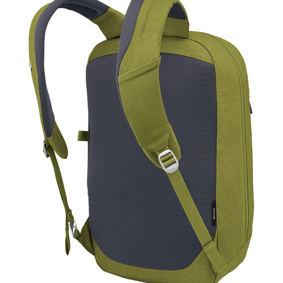 Arcane Large 20L Daypack