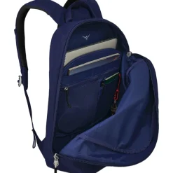 Arcane Large 20L Daypack