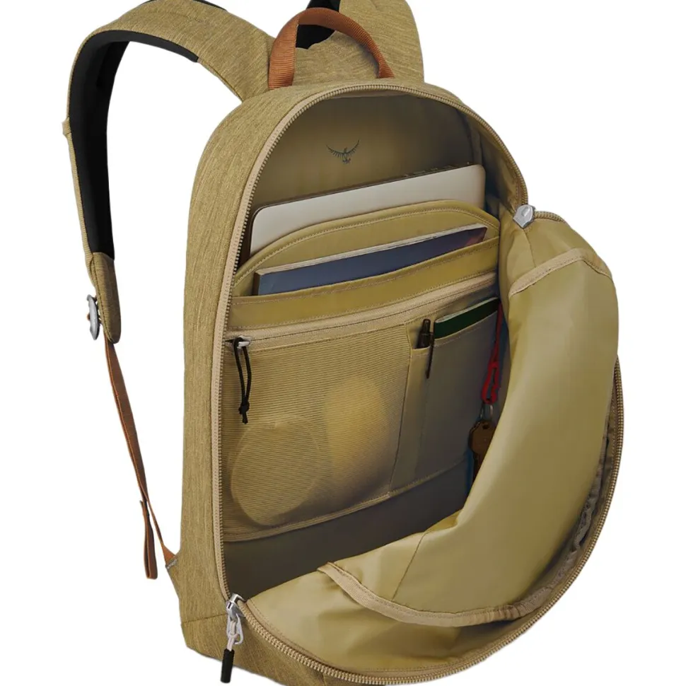Arcane Large 20L Daypack