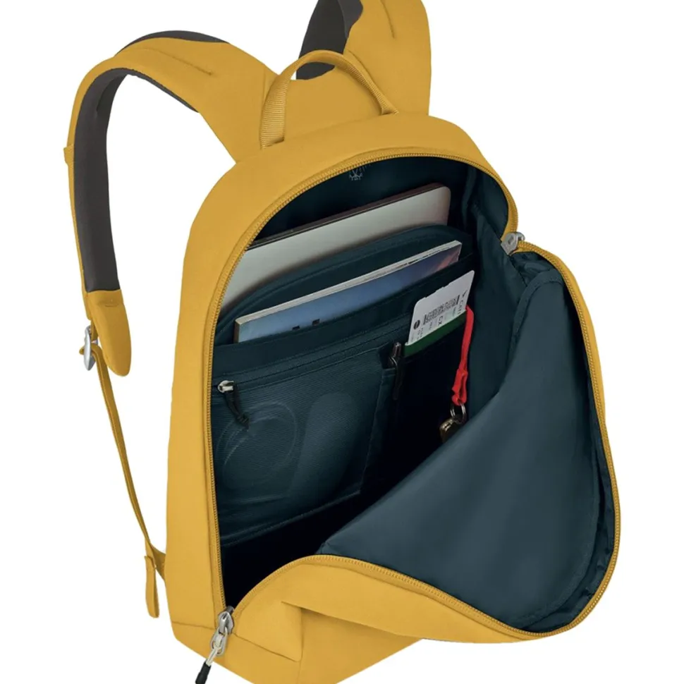 Arcane Large 20L Daypack