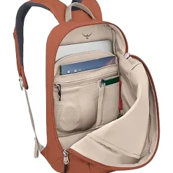 Arcane Large 20L Daypack