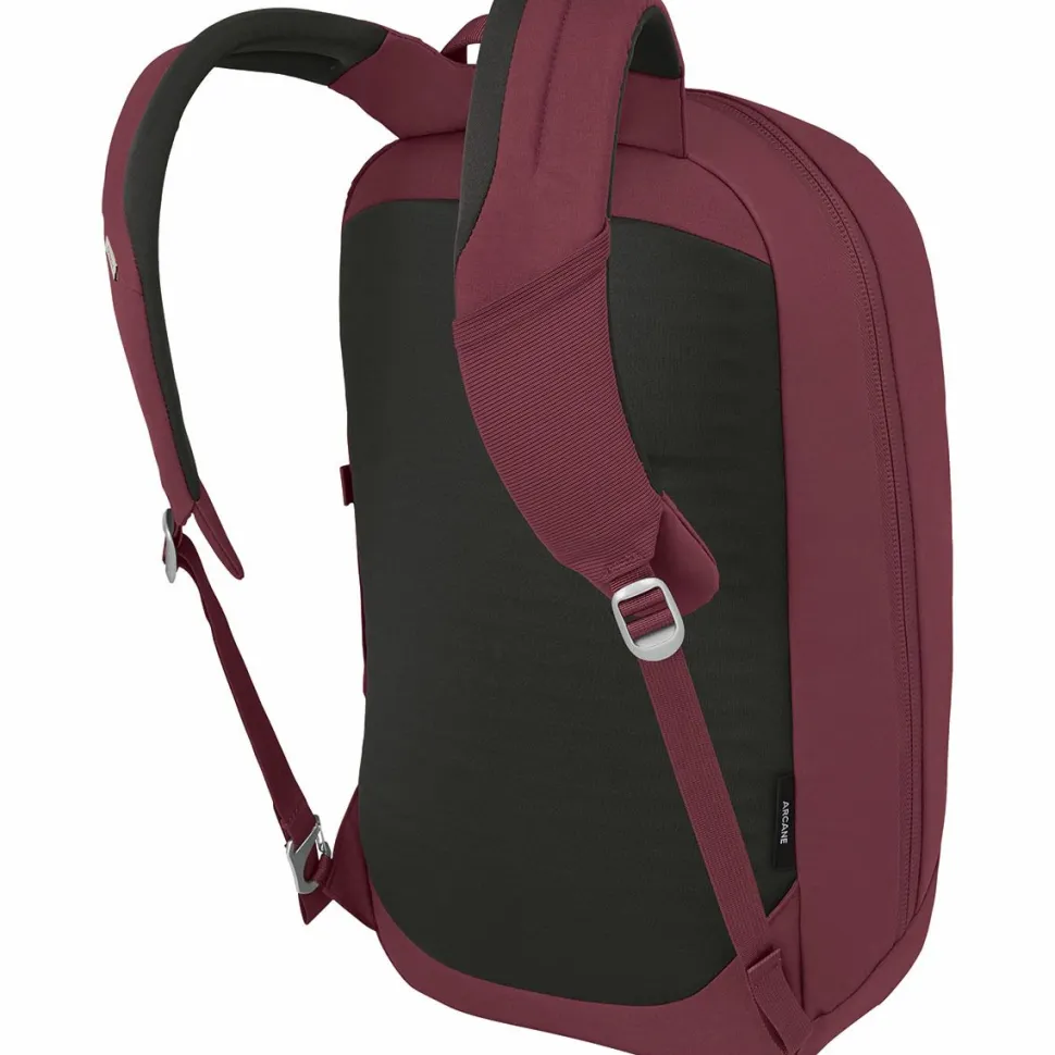 Arcane Large 20L Daypack