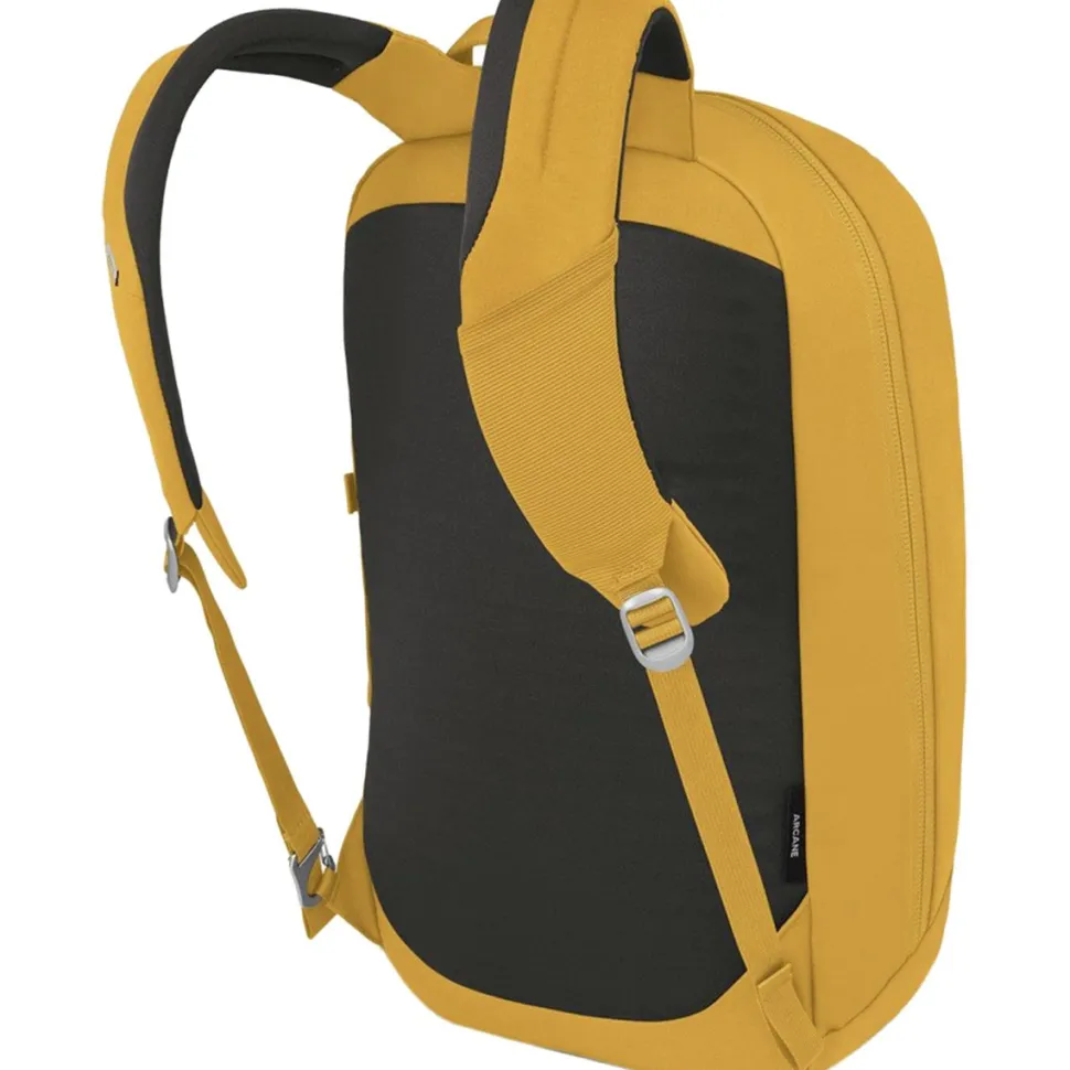 Arcane Large 20L Daypack