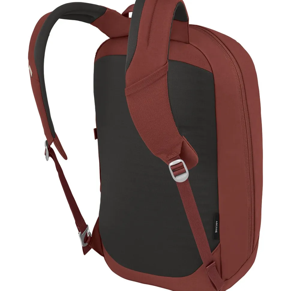 Arcane Large 20L Daypack