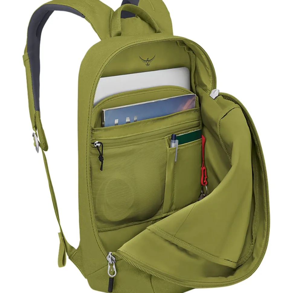 Arcane Large 20L Daypack