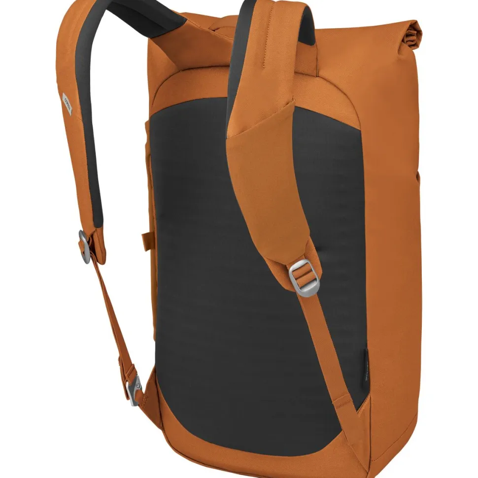 Arcane Large 20L Daypack