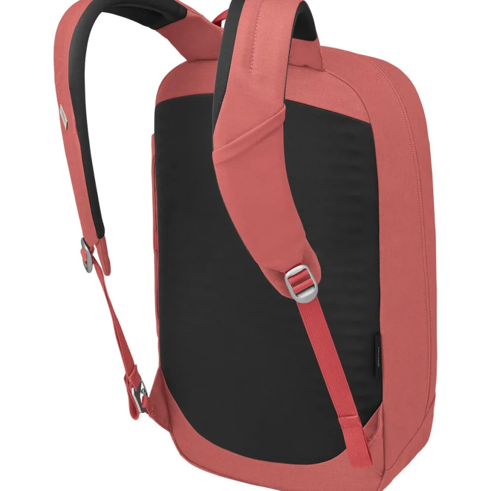 Arcane Large 20L Daypack