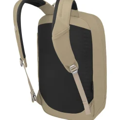 Arcane Large 20L Daypack