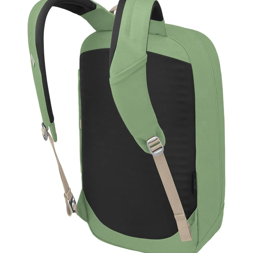 Arcane Large 20L Daypack