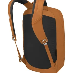 Arcane Large 20L Daypack