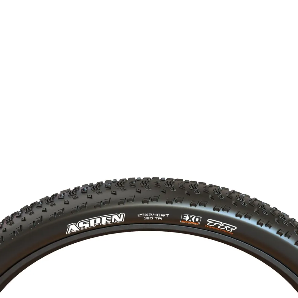Aspen Wide Trail MaxxSpeed/EXO/TR 29in Tire
