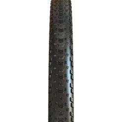 Aspen Wide Trail MaxxSpeed/EXO/TR 29in Tire
