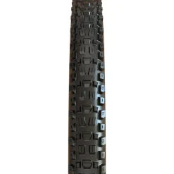 Assegai EXO/Wide-Trail/TR 29in Tire