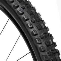 Assegai Wide Trail 3C/EXO+/TR 29in Tire