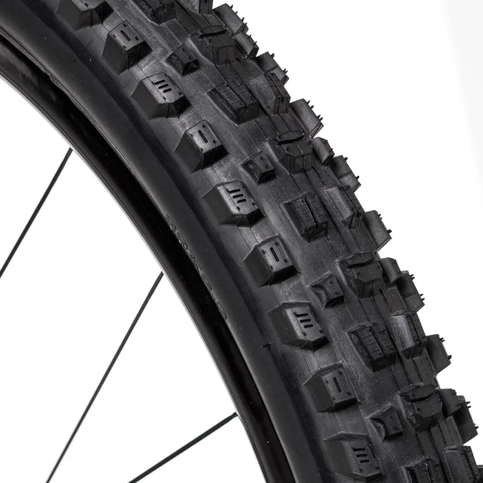 Assegai Wide Trail 3C/EXO+/TR 29in Tire