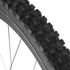 Assegai Wide Trail 3C/EXO+/TR 29in Tire