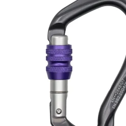 Be Link Screw Gate Carabiner