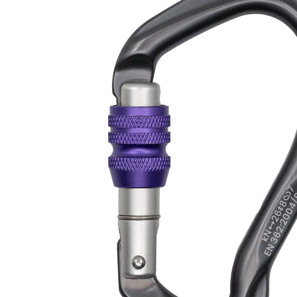 Be Link Screw Gate Carabiner