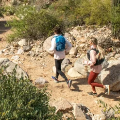 Blazek 15L Daypack