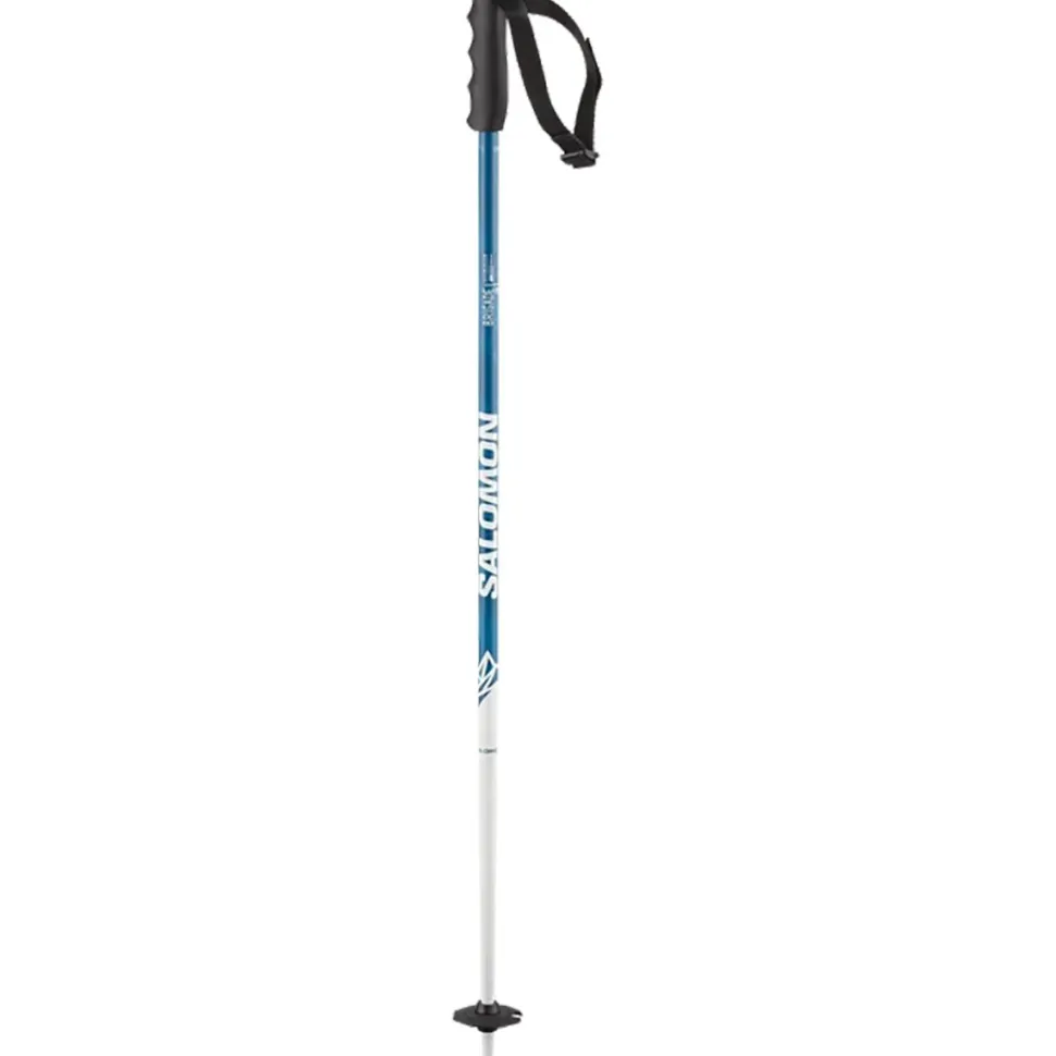 Brigade Jr Ski Poles - Kids'
