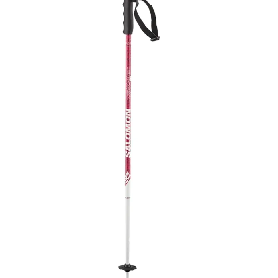 Brigade Jr Ski Poles - Kids'
