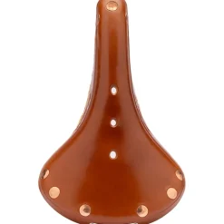B17 Special Titanium Saddle