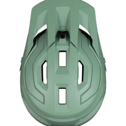 Bushwhacker 2VI Mips Helmet