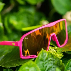 Campeones Sunglasses