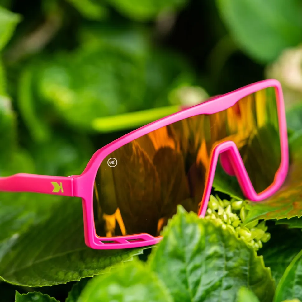 Campeones Sunglasses