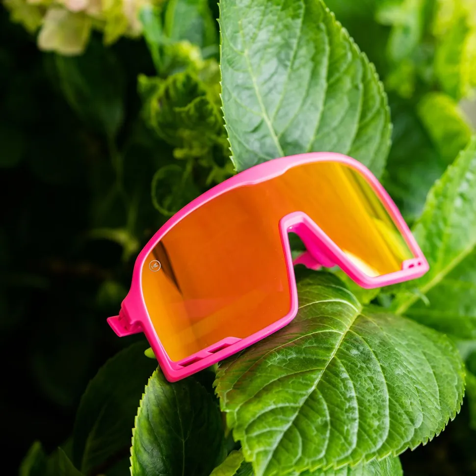 Campeones Sunglasses