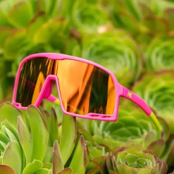 Campeones Sunglasses