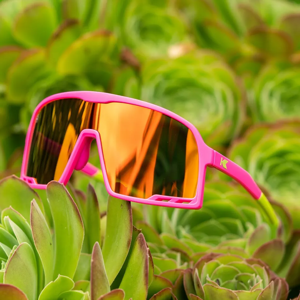 Campeones Sunglasses