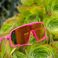 Campeones Sunglasses