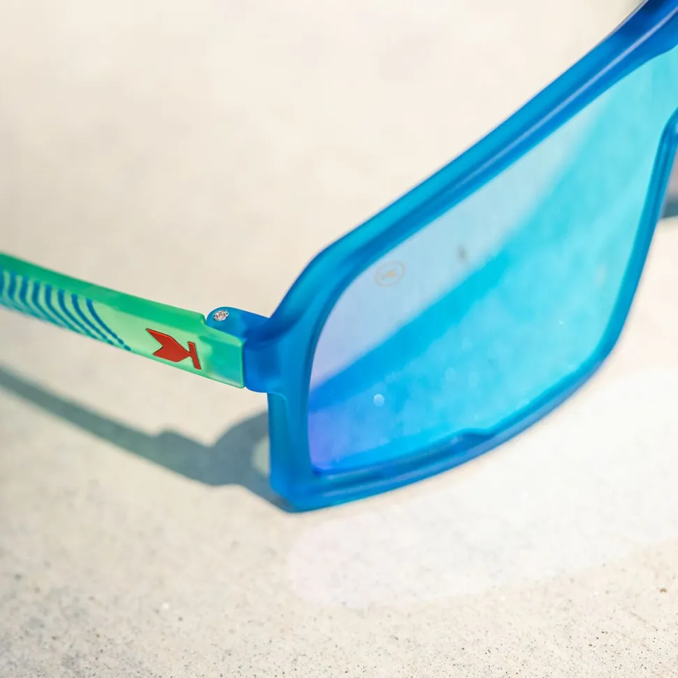 Campeones Sunglasses