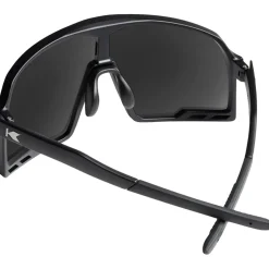 Campeones Sunglasses