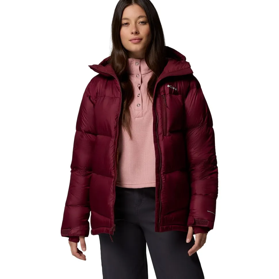 Cloudview Down Hooded Jacket - Women's